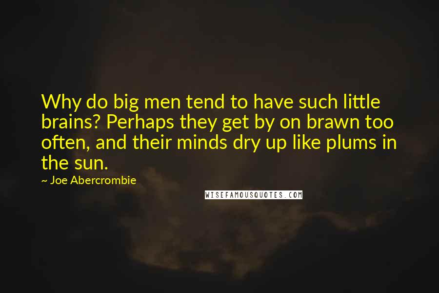 Joe Abercrombie Quotes: Why do big men tend to have such little brains? Perhaps they get by on brawn too often, and their minds dry up like plums in the sun.
