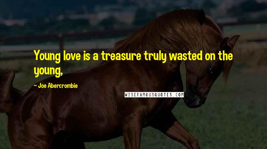 Joe Abercrombie Quotes: Young love is a treasure truly wasted on the young,