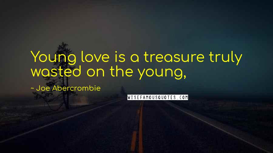 Joe Abercrombie Quotes: Young love is a treasure truly wasted on the young,