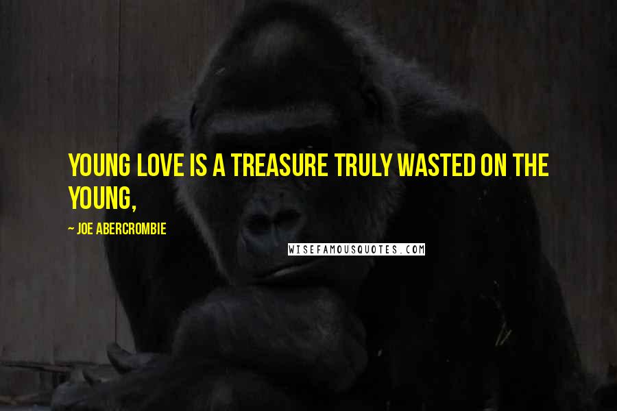 Joe Abercrombie Quotes: Young love is a treasure truly wasted on the young,