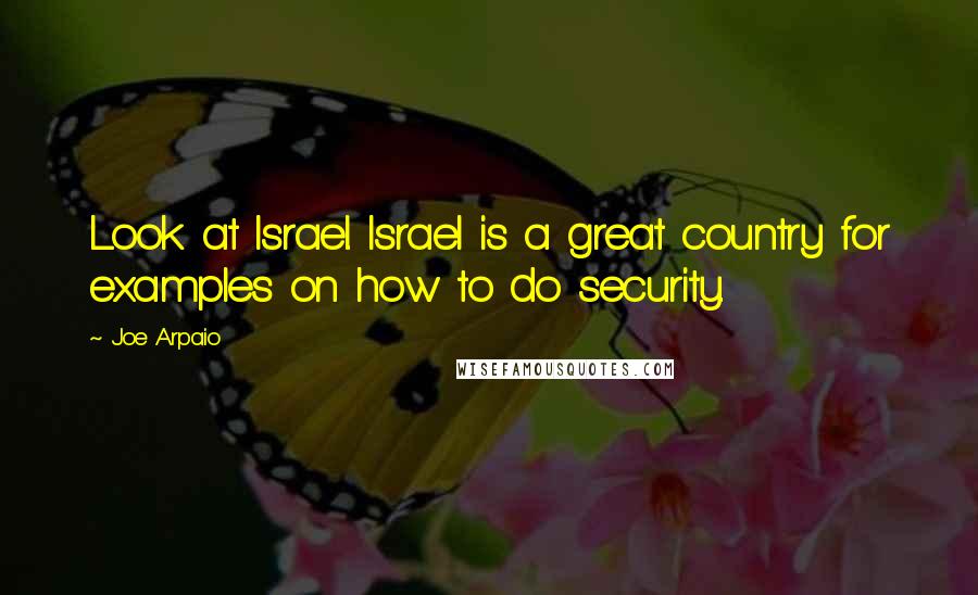 Joe Arpaio Quotes: Look at Israel. Israel is a great country for examples on how to do security.