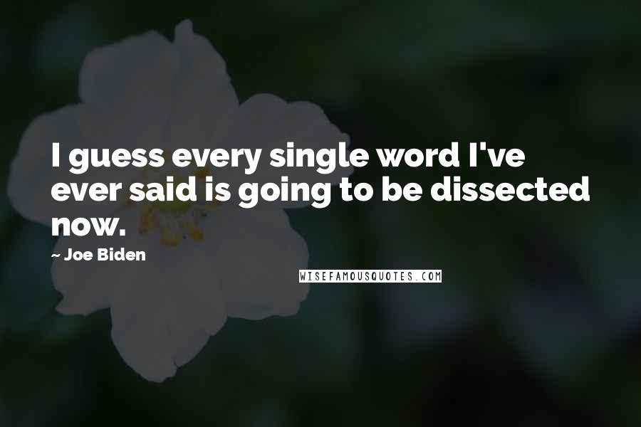 Joe Biden Quotes: I guess every single word I've ever said is going to be dissected now.