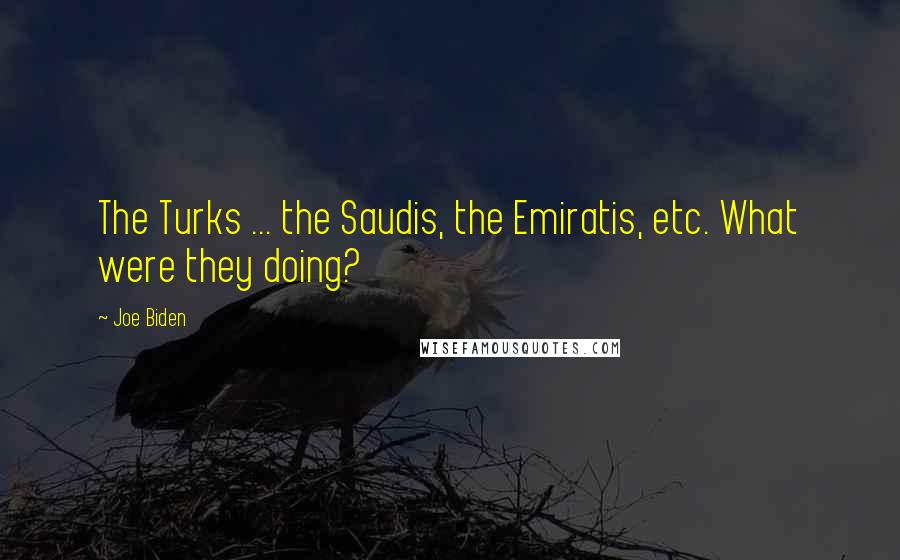 Joe Biden Quotes: The Turks ... the Saudis, the Emiratis, etc. What were they doing?