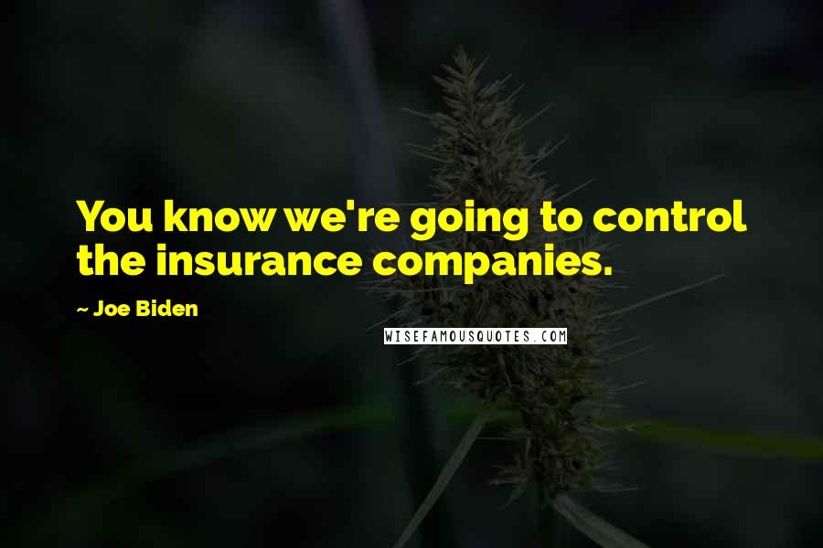 Joe Biden Quotes: You know we're going to control the insurance companies.