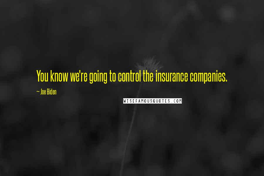 Joe Biden Quotes: You know we're going to control the insurance companies.