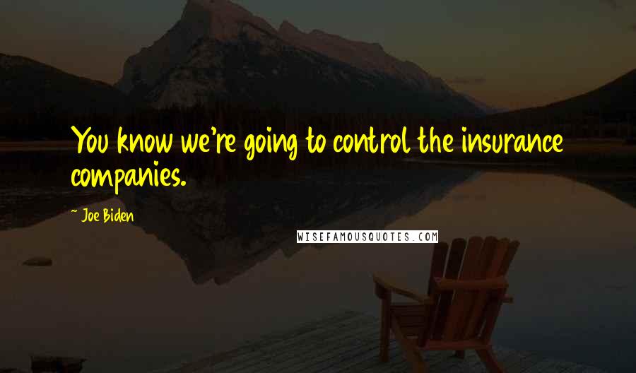 Joe Biden Quotes: You know we're going to control the insurance companies.