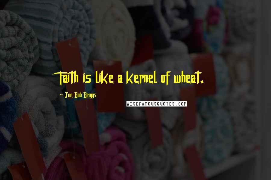 Joe Bob Briggs Quotes: Faith is like a kernel of wheat.