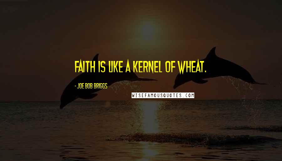 Joe Bob Briggs Quotes: Faith is like a kernel of wheat.