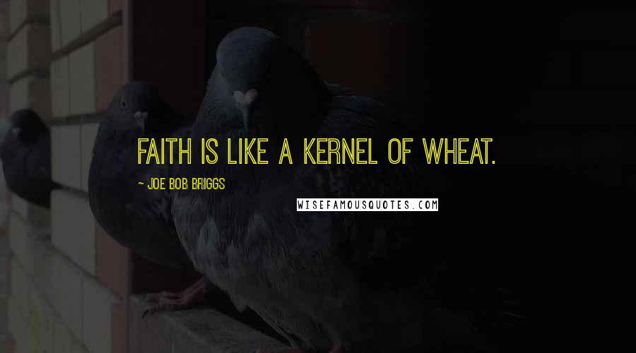 Joe Bob Briggs Quotes: Faith is like a kernel of wheat.