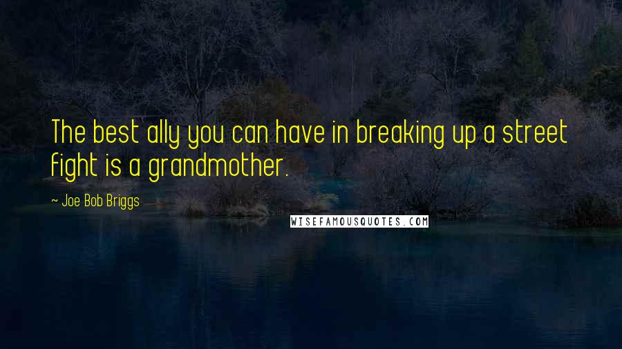 Joe Bob Briggs Quotes: The best ally you can have in breaking up a street fight is a grandmother.