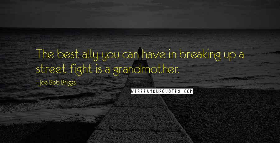 Joe Bob Briggs Quotes: The best ally you can have in breaking up a street fight is a grandmother.