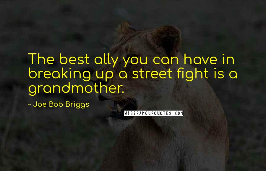 Joe Bob Briggs Quotes: The best ally you can have in breaking up a street fight is a grandmother.