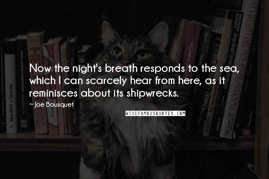 Joe Bousquet Quotes: Now the night's breath responds to the sea, which I can scarcely hear from here, as it reminisces about its shipwrecks.