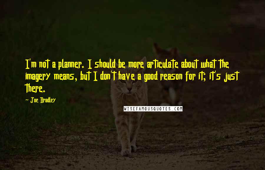 Joe Bradley Quotes: I'm not a planner. I should be more articulate about what the imagery means, but I don't have a good reason for it; it's just there.