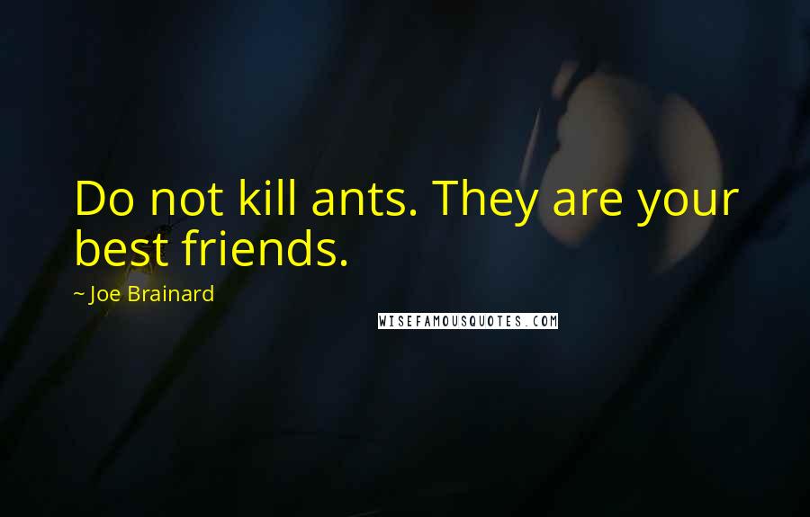 Joe Brainard Quotes: Do not kill ants. They are your best friends.