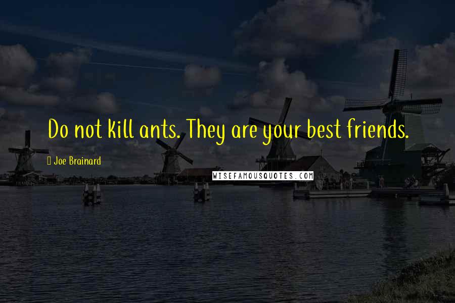 Joe Brainard Quotes: Do not kill ants. They are your best friends.