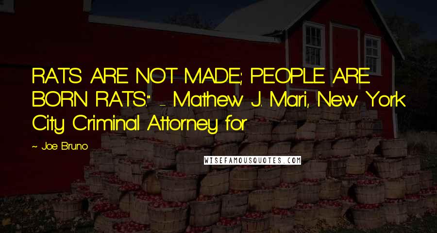 Joe Bruno Quotes: RATS ARE NOT MADE; PEOPLE ARE BORN RATS." - Mathew J. Mari, New York City Criminal Attorney for
