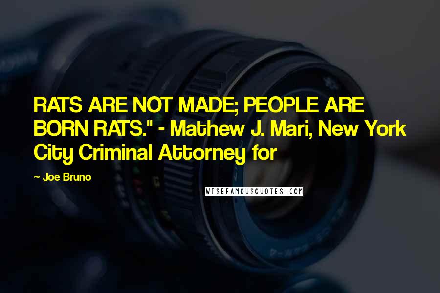 Joe Bruno Quotes: RATS ARE NOT MADE; PEOPLE ARE BORN RATS." - Mathew J. Mari, New York City Criminal Attorney for