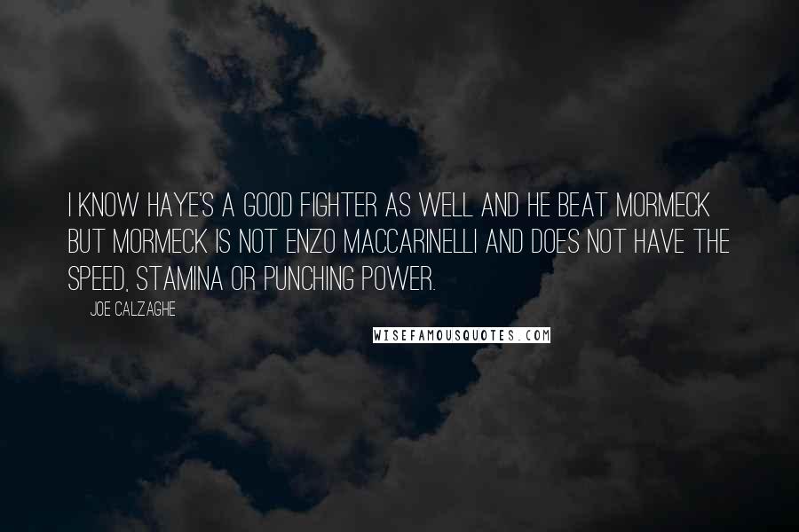 Joe Calzaghe Quotes: I know Haye's a good fighter as well and he beat Mormeck but Mormeck is not Enzo Maccarinelli and does not have the speed, stamina or punching power.