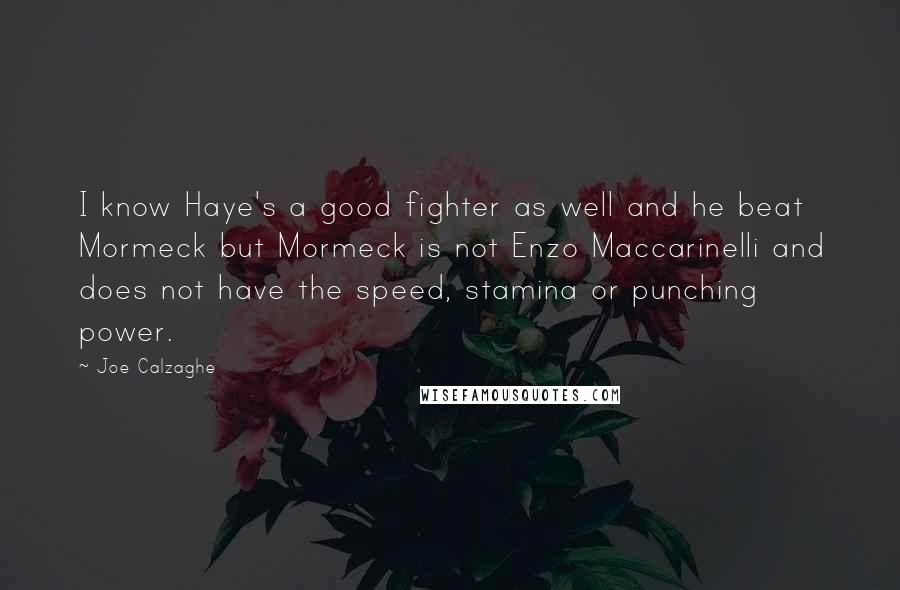 Joe Calzaghe Quotes: I know Haye's a good fighter as well and he beat Mormeck but Mormeck is not Enzo Maccarinelli and does not have the speed, stamina or punching power.