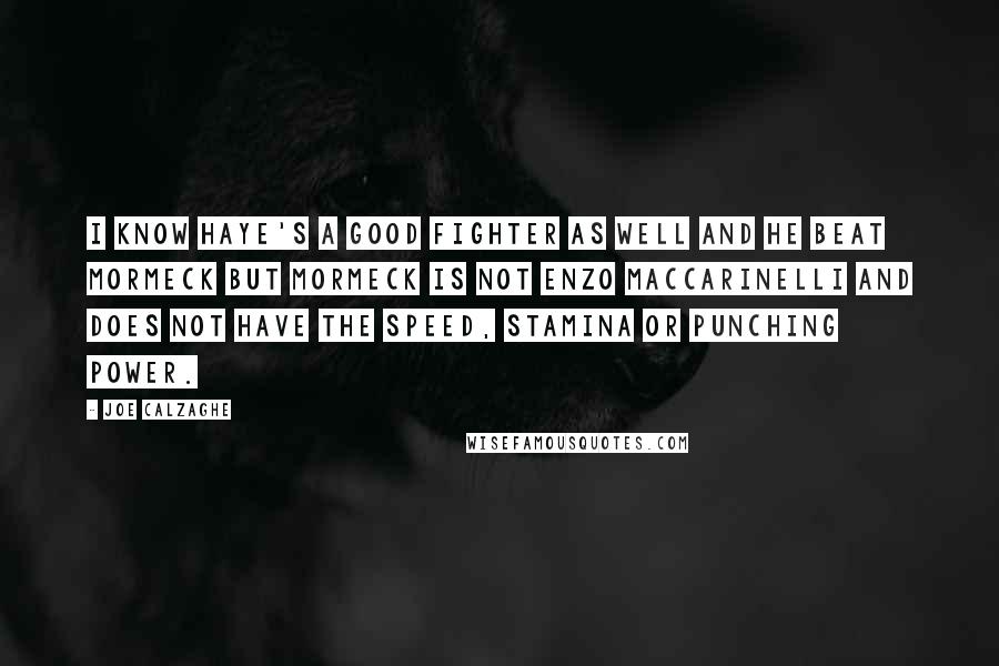 Joe Calzaghe Quotes: I know Haye's a good fighter as well and he beat Mormeck but Mormeck is not Enzo Maccarinelli and does not have the speed, stamina or punching power.