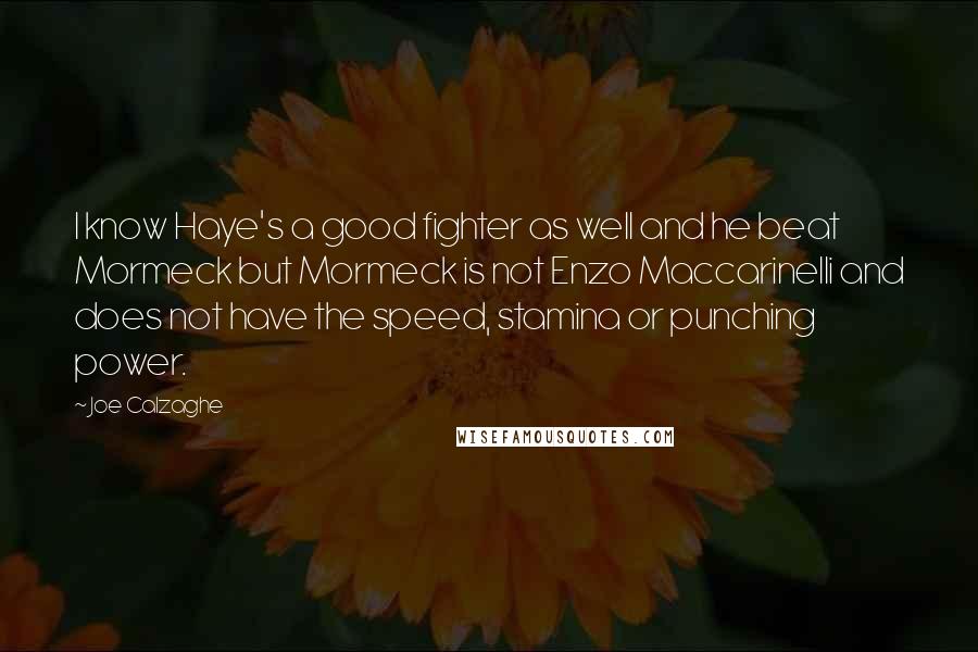 Joe Calzaghe Quotes: I know Haye's a good fighter as well and he beat Mormeck but Mormeck is not Enzo Maccarinelli and does not have the speed, stamina or punching power.
