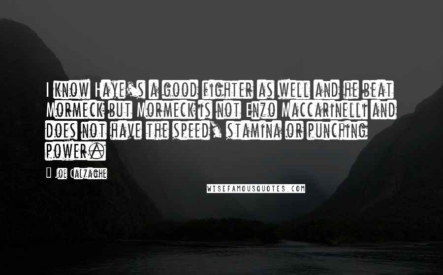 Joe Calzaghe Quotes: I know Haye's a good fighter as well and he beat Mormeck but Mormeck is not Enzo Maccarinelli and does not have the speed, stamina or punching power.