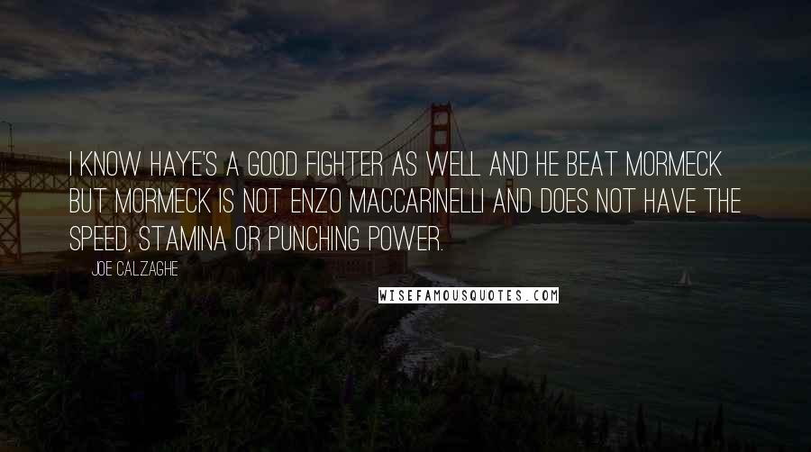 Joe Calzaghe Quotes: I know Haye's a good fighter as well and he beat Mormeck but Mormeck is not Enzo Maccarinelli and does not have the speed, stamina or punching power.