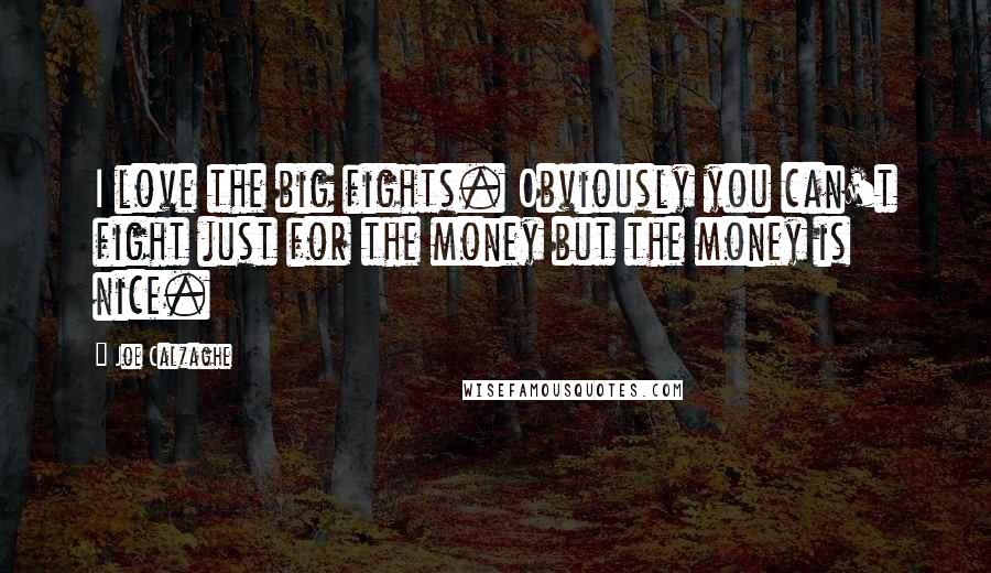 Joe Calzaghe Quotes: I love the big fights. Obviously you can't fight just for the money but the money is nice.