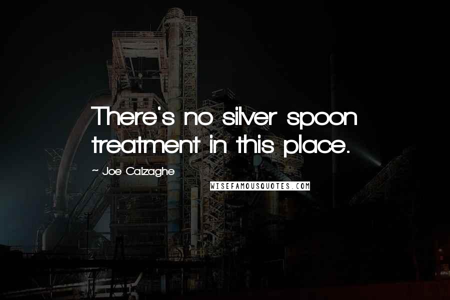 Joe Calzaghe Quotes: There's no silver spoon treatment in this place.