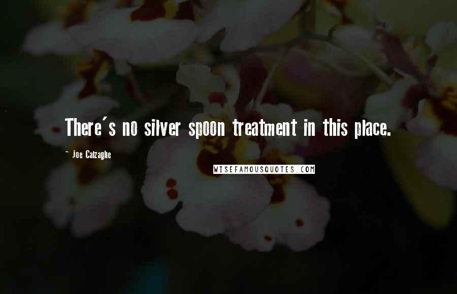 Joe Calzaghe Quotes: There's no silver spoon treatment in this place.