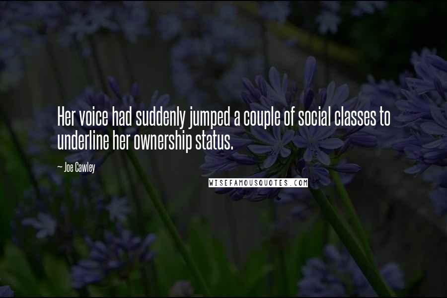 Joe Cawley Quotes: Her voice had suddenly jumped a couple of social classes to underline her ownership status.