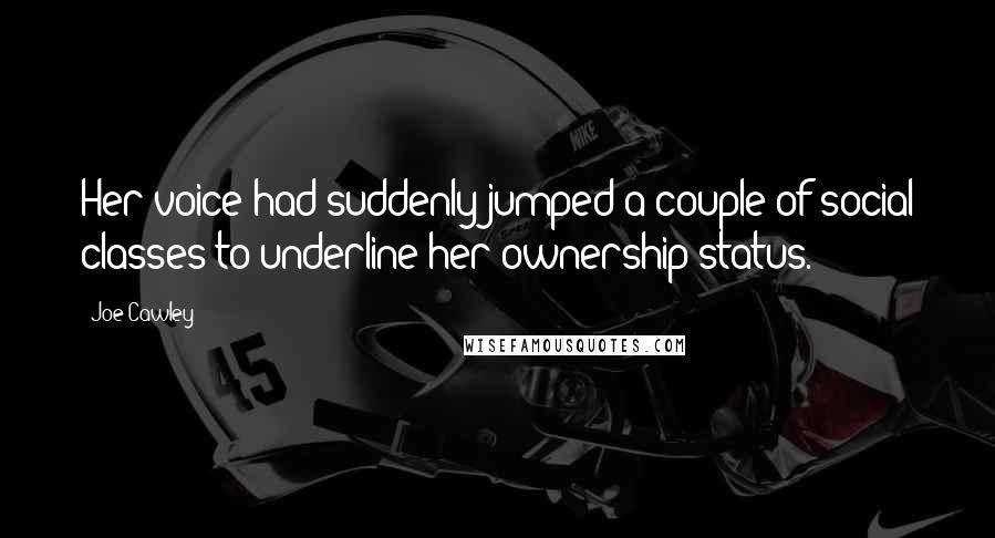 Joe Cawley Quotes: Her voice had suddenly jumped a couple of social classes to underline her ownership status.