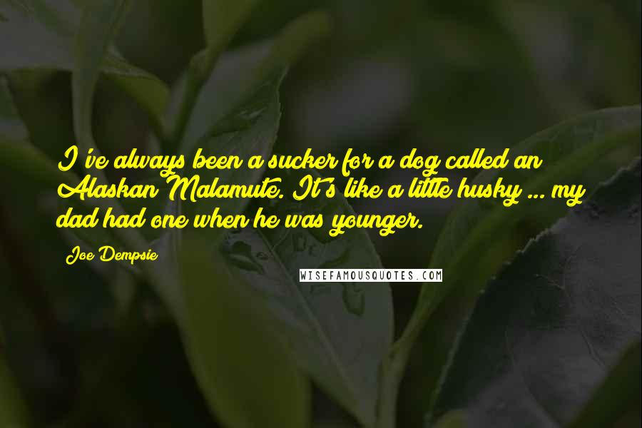 Joe Dempsie Quotes: I've always been a sucker for a dog called an Alaskan Malamute. It's like a little husky ... my dad had one when he was younger.