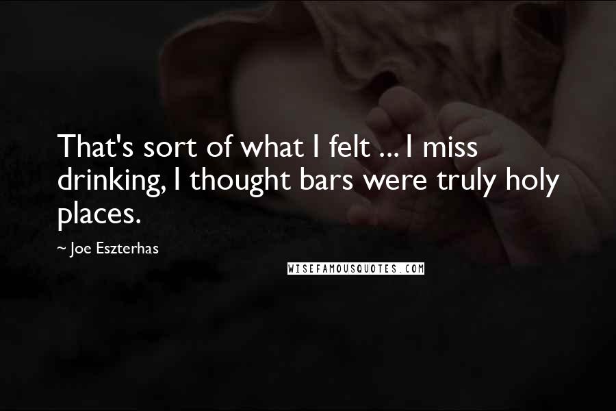 Joe Eszterhas Quotes: That's sort of what I felt ... I miss drinking, I thought bars were truly holy places.