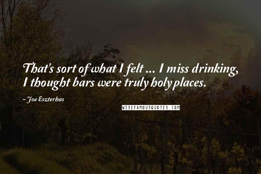 Joe Eszterhas Quotes: That's sort of what I felt ... I miss drinking, I thought bars were truly holy places.