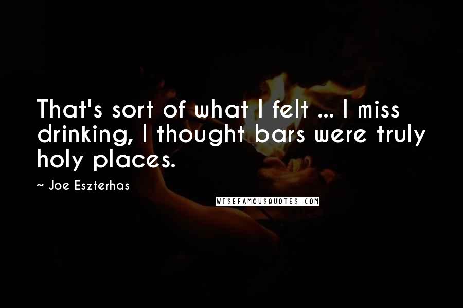 Joe Eszterhas Quotes: That's sort of what I felt ... I miss drinking, I thought bars were truly holy places.