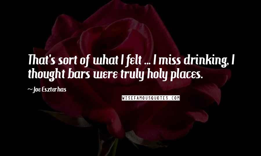 Joe Eszterhas Quotes: That's sort of what I felt ... I miss drinking, I thought bars were truly holy places.