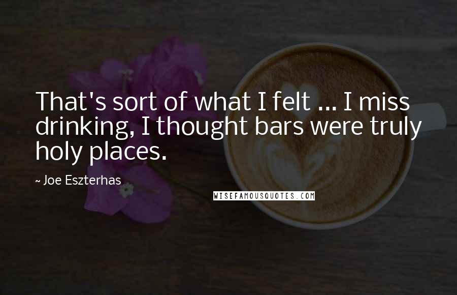 Joe Eszterhas Quotes: That's sort of what I felt ... I miss drinking, I thought bars were truly holy places.