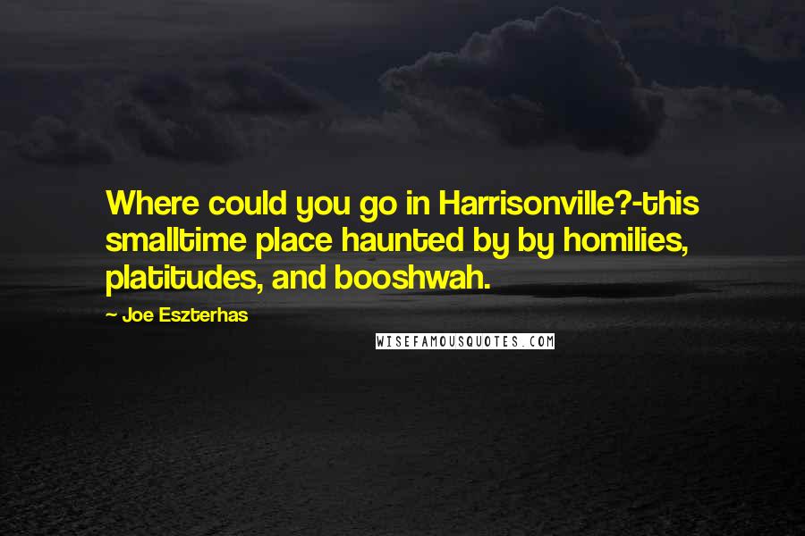 Joe Eszterhas Quotes: Where could you go in Harrisonville?-this smalltime place haunted by by homilies, platitudes, and booshwah.