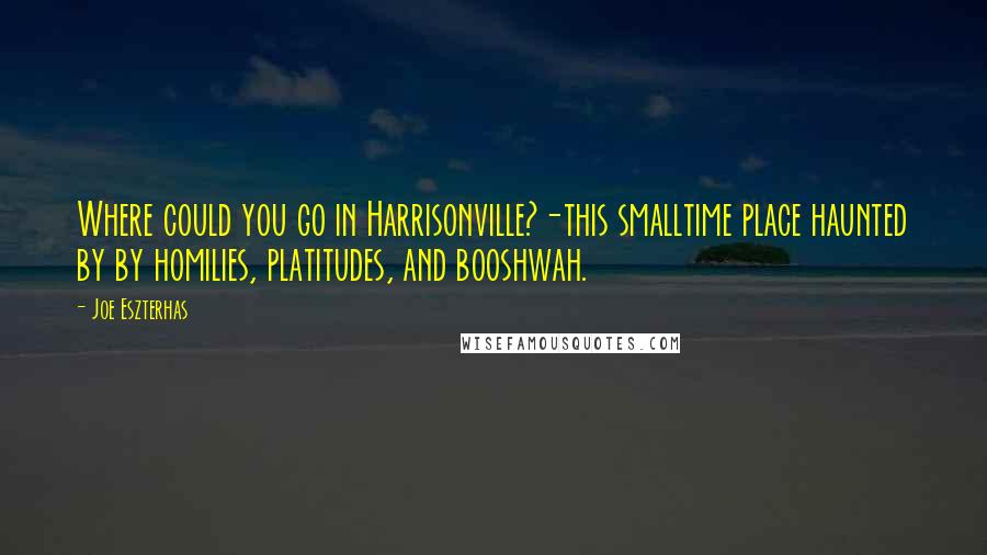 Joe Eszterhas Quotes: Where could you go in Harrisonville?-this smalltime place haunted by by homilies, platitudes, and booshwah.