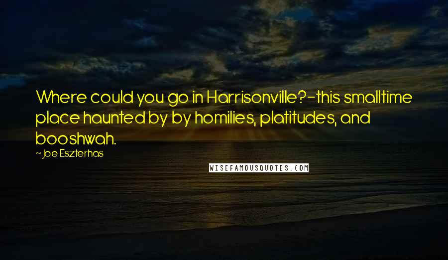 Joe Eszterhas Quotes: Where could you go in Harrisonville?-this smalltime place haunted by by homilies, platitudes, and booshwah.