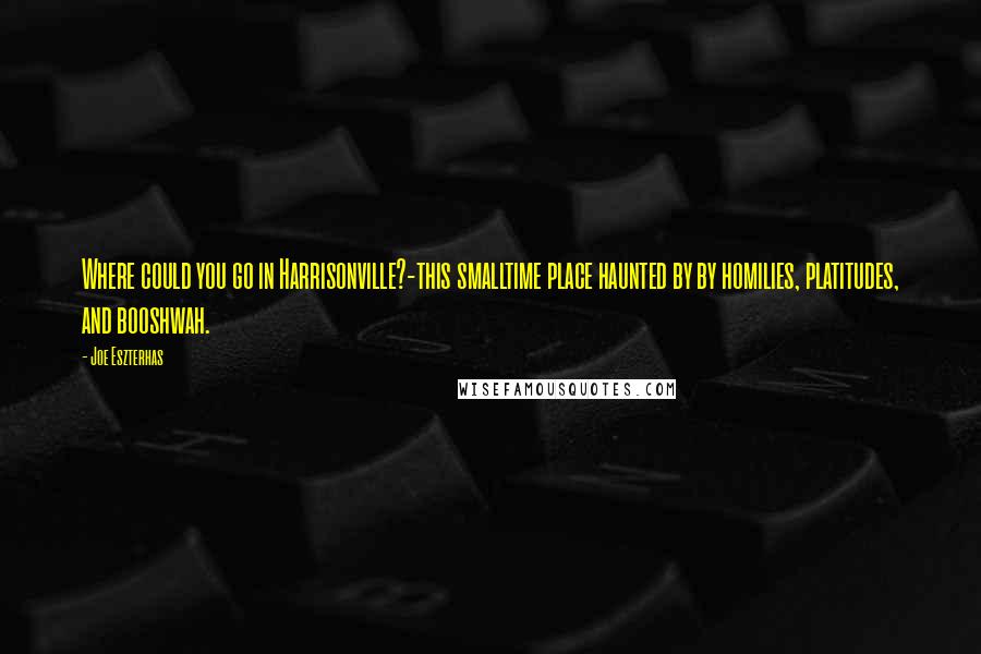 Joe Eszterhas Quotes: Where could you go in Harrisonville?-this smalltime place haunted by by homilies, platitudes, and booshwah.