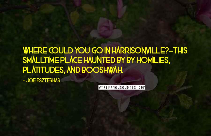 Joe Eszterhas Quotes: Where could you go in Harrisonville?-this smalltime place haunted by by homilies, platitudes, and booshwah.