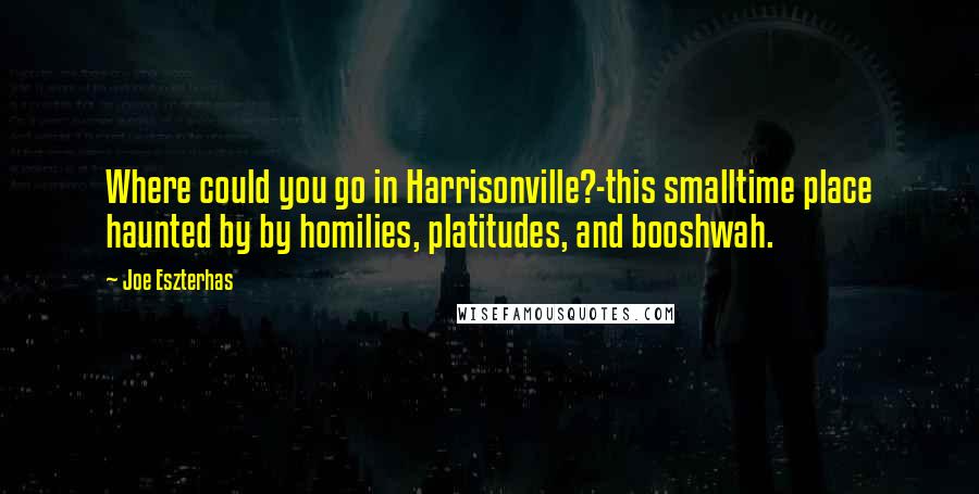 Joe Eszterhas Quotes: Where could you go in Harrisonville?-this smalltime place haunted by by homilies, platitudes, and booshwah.