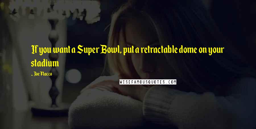 Joe Flacco Quotes: If you want a Super Bowl, put a retractable dome on your stadium
