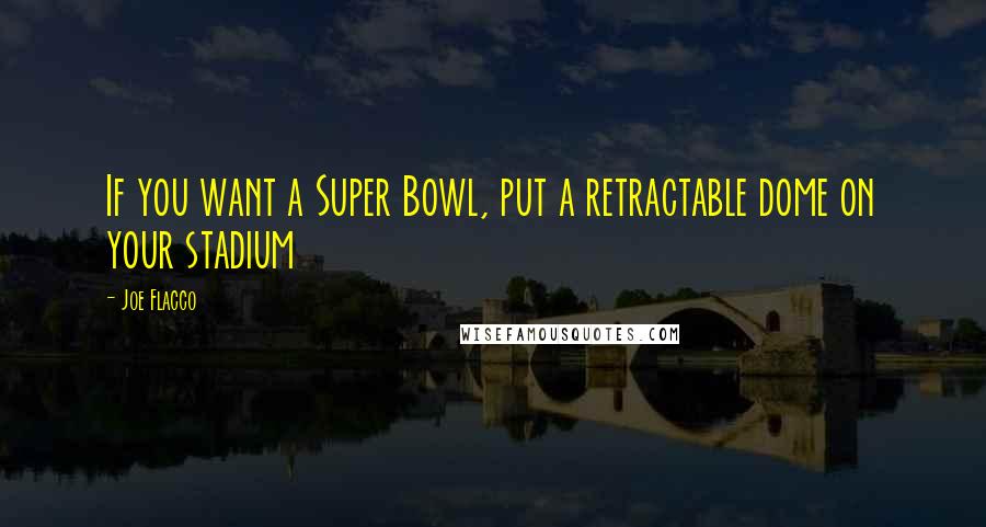 Joe Flacco Quotes: If you want a Super Bowl, put a retractable dome on your stadium