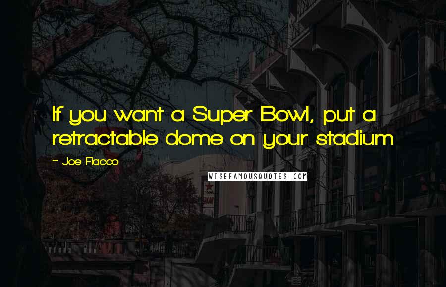Joe Flacco Quotes: If you want a Super Bowl, put a retractable dome on your stadium