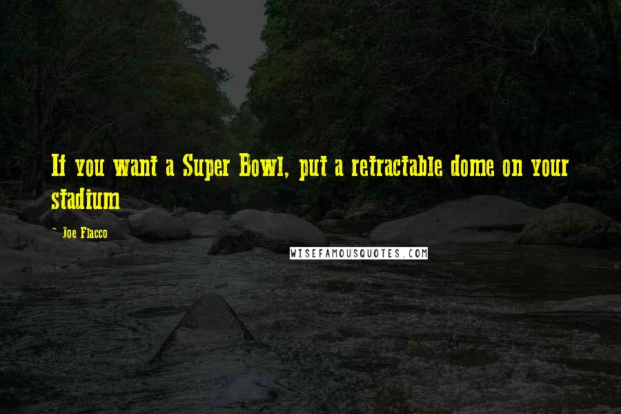 Joe Flacco Quotes: If you want a Super Bowl, put a retractable dome on your stadium