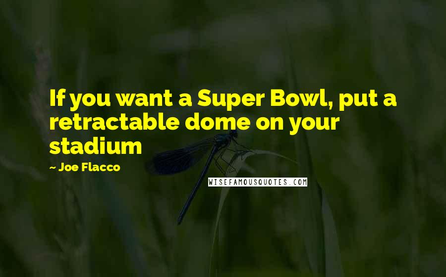 Joe Flacco Quotes: If you want a Super Bowl, put a retractable dome on your stadium